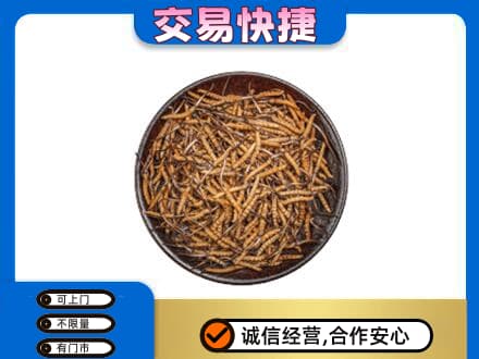 攀枝花市仁和区礼品回收虫草.jpg
