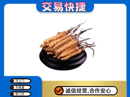 攀枝花市仁和区礼品回收散虫草.jpg
